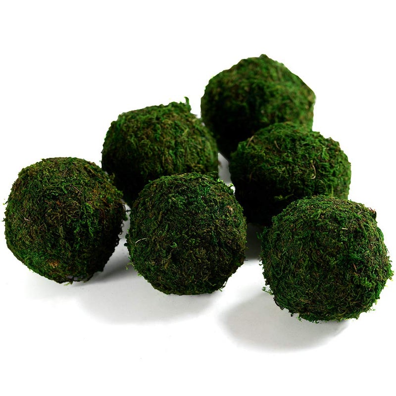 Dycica Farmoo Moss Balls Preserved All Natural, 3.5"-Set of 6 (Natural Green) - Image 5